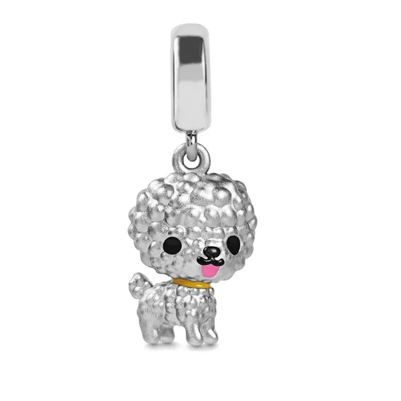 Charm - Poodle (Pet)