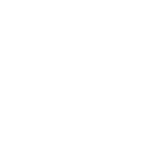 Carrera Chronograph